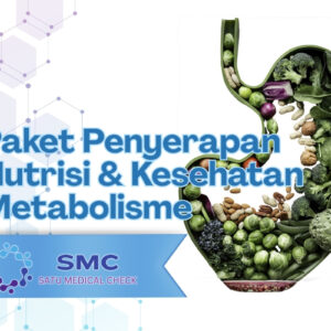 Paket Penyerapan Nutrisi & Kesehatan Metabolisme