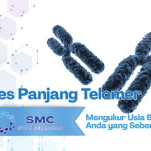 Tes Panjang Telomer (Mengukur Usia Biologis Anda yang Sebenarnya)